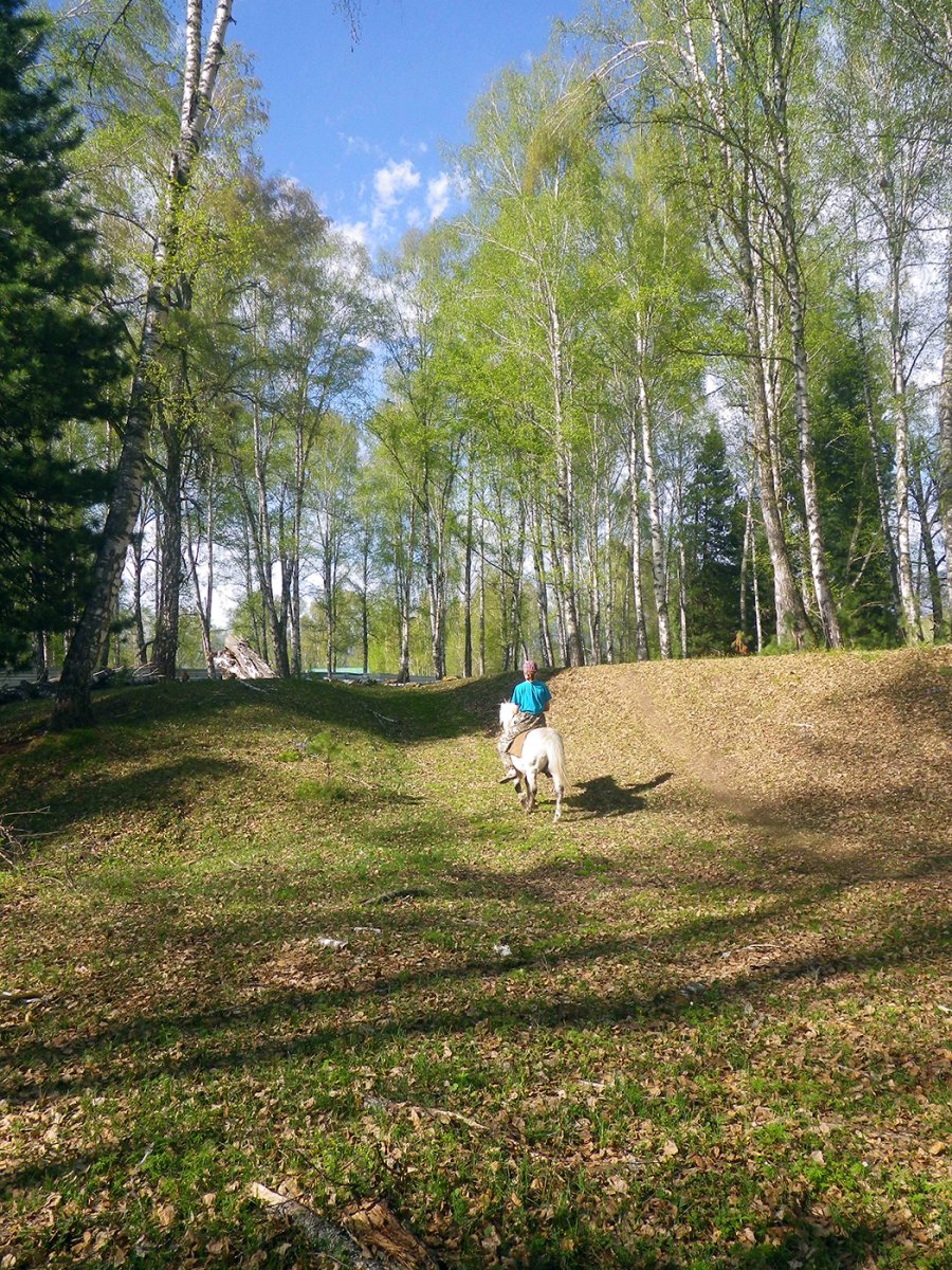1779287822195.jpeg