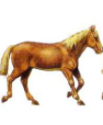 1780581421563.png