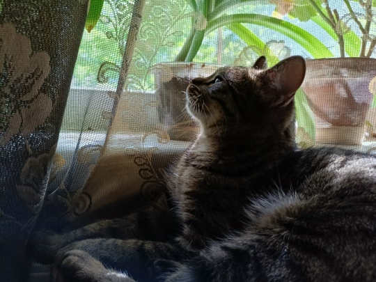 1782332369573.png