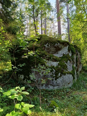 1785090653379.png
