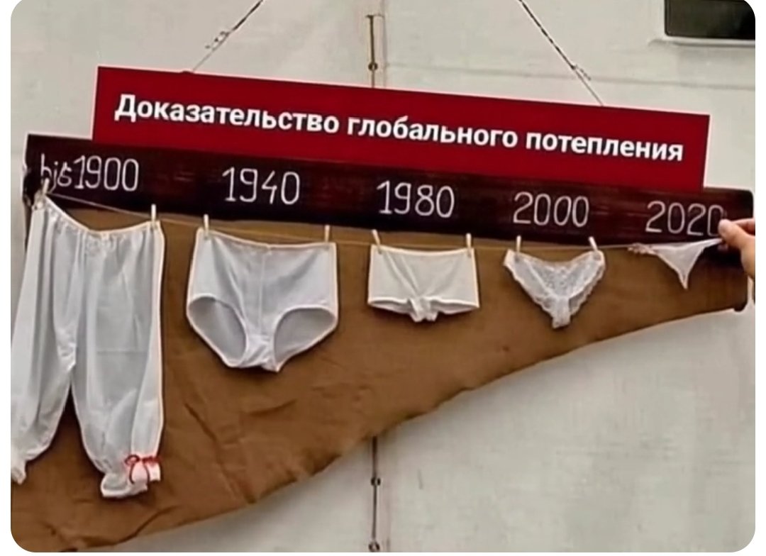 1786822155997.jpg