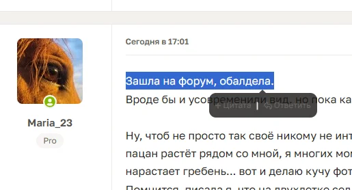 1790091238865.webp