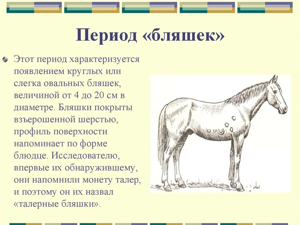 1790263780992.webp