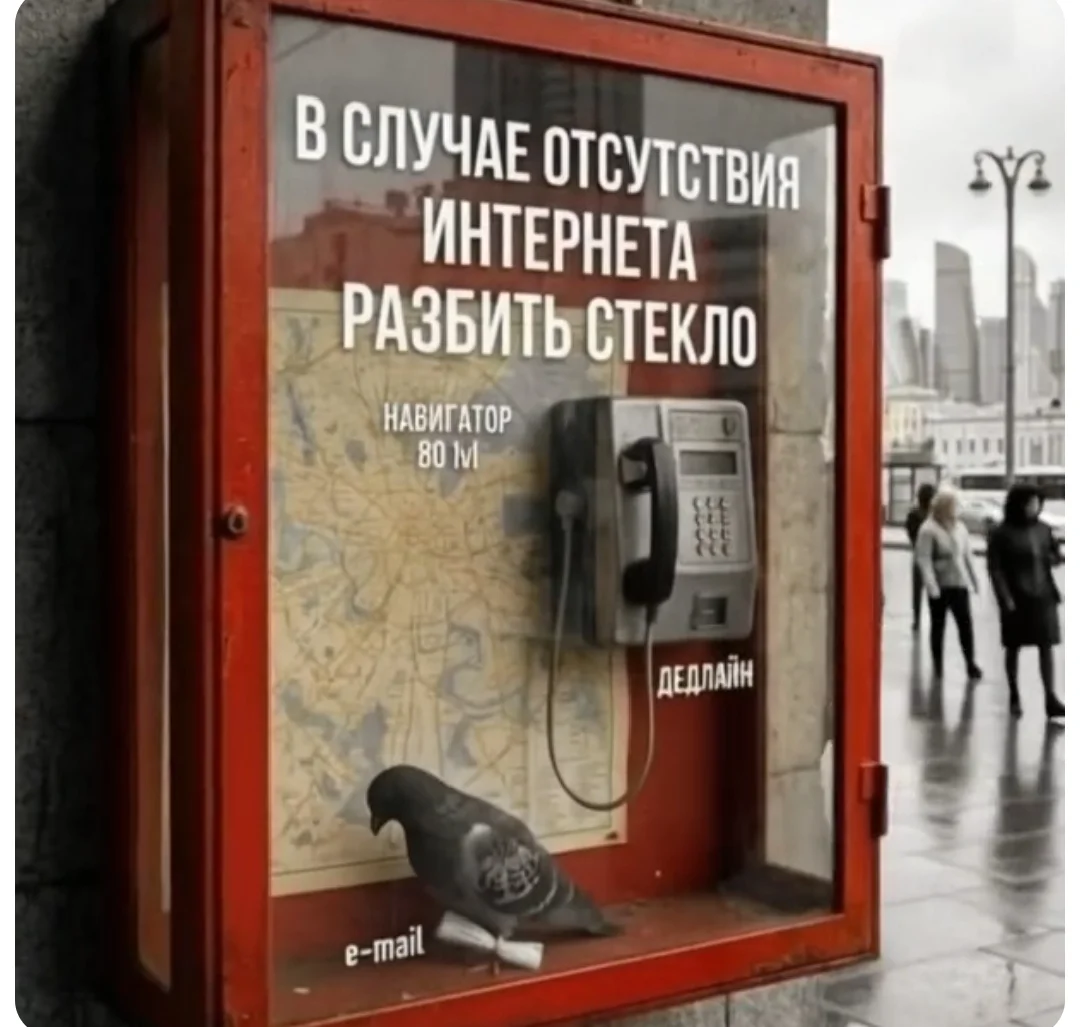 1791216979697.webp