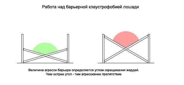 1792588222215.webp