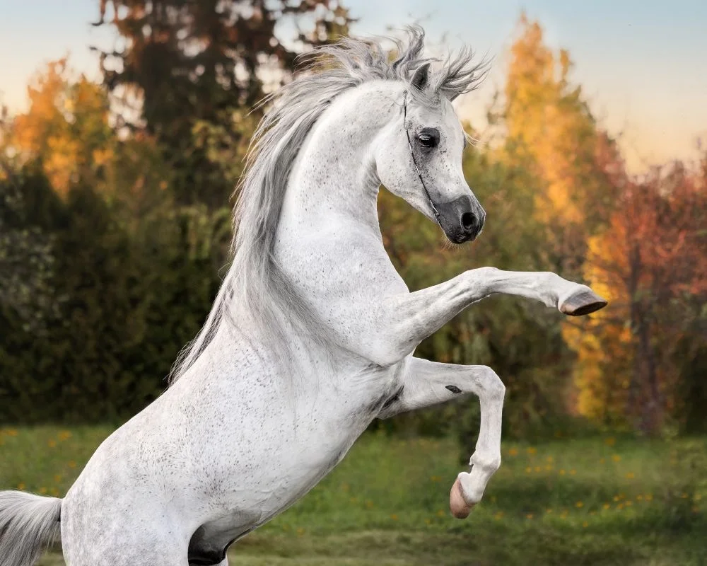 1792870129100.webp