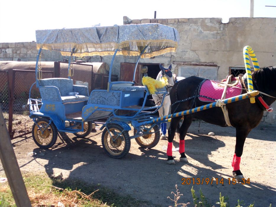 187159030_1_1000x700_kareta-faeton-aktau.jpg