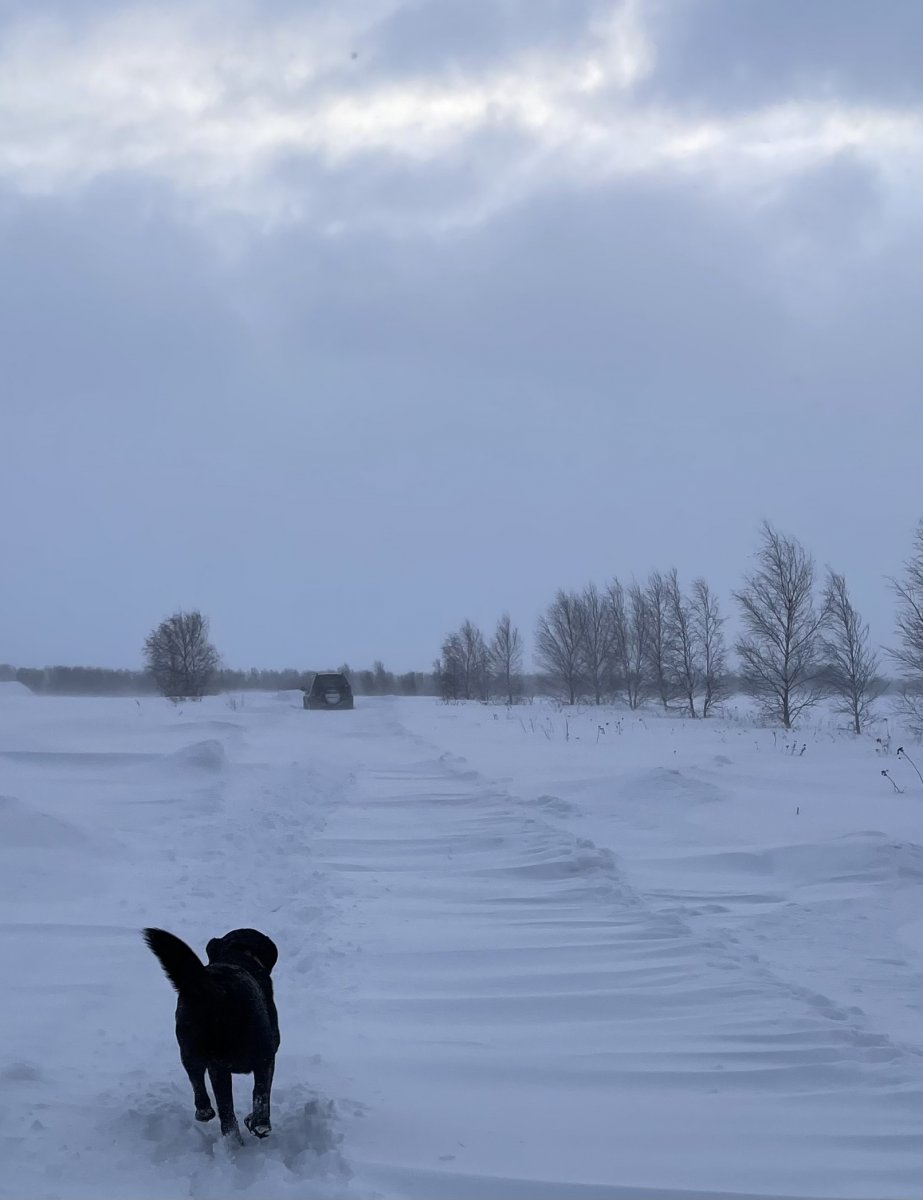 1895429E-5A07-473A-BAE9-C8DED606F791.jpeg