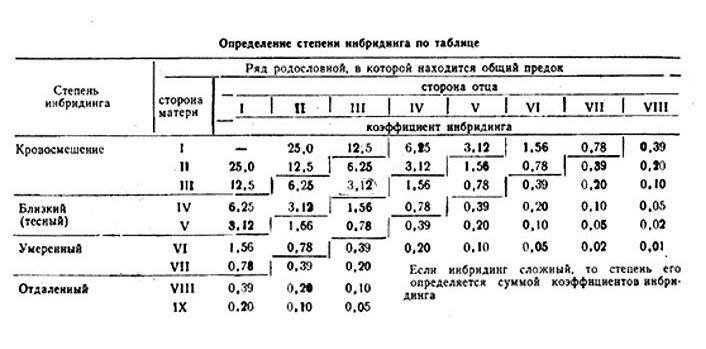 19702219.jpg.e8331b06b59cc456f82e8f106ad319c4.jpg
