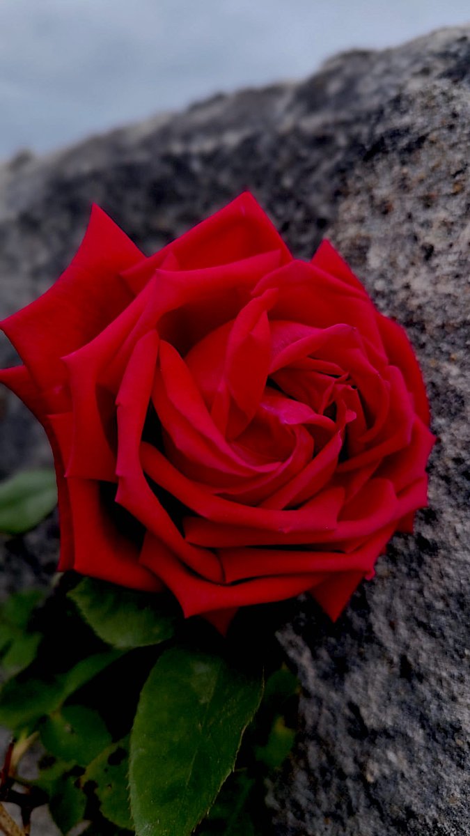 1WhatsApp Image 2026-04-15 at 21.34.05.jpeg