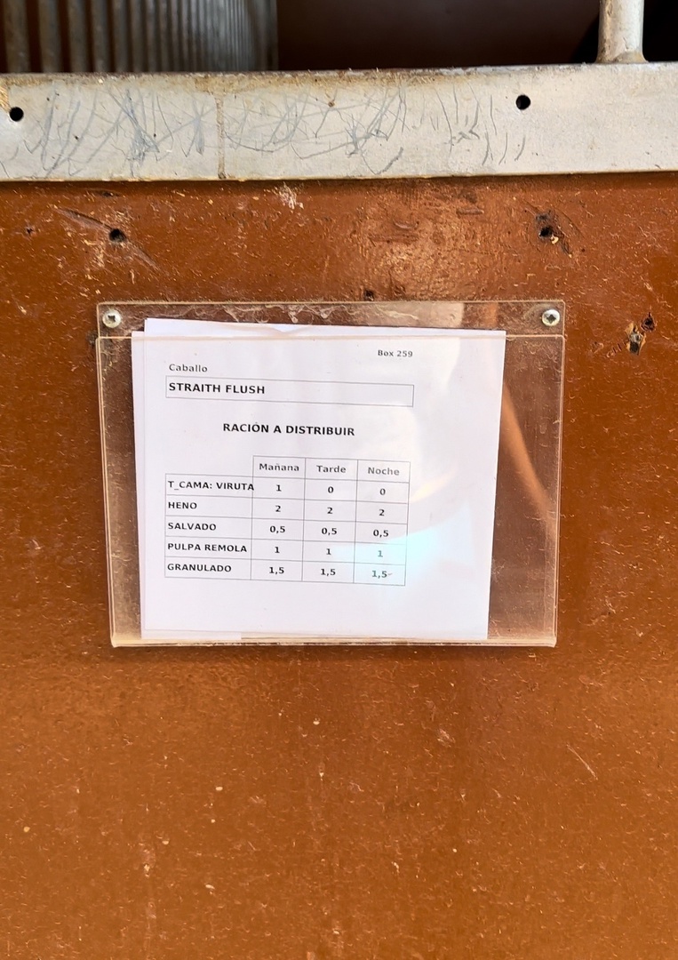 2 3.jpg