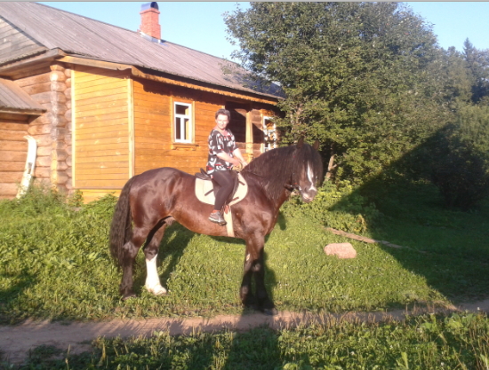 2013-08-15 19.52.06.jpg