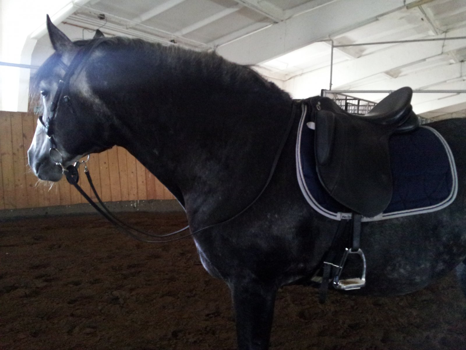 20130708_115552.jpg