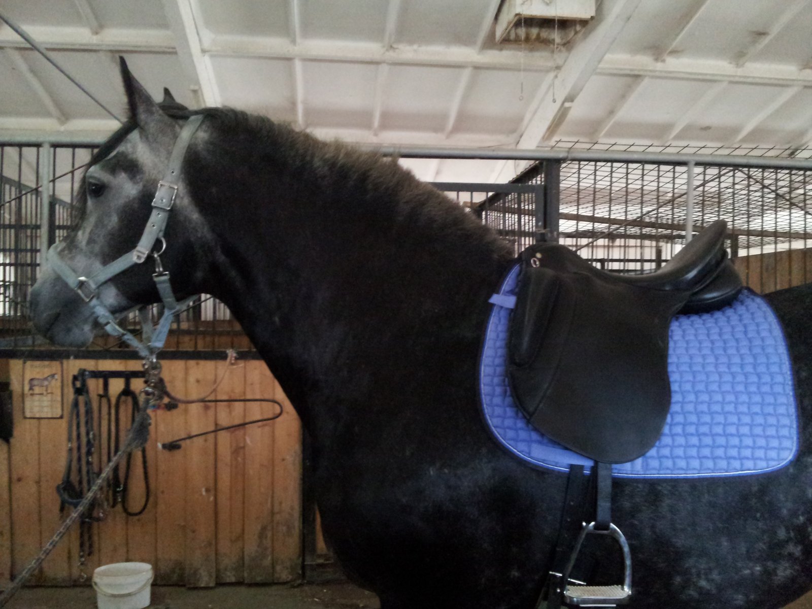 20130729_123304.jpg