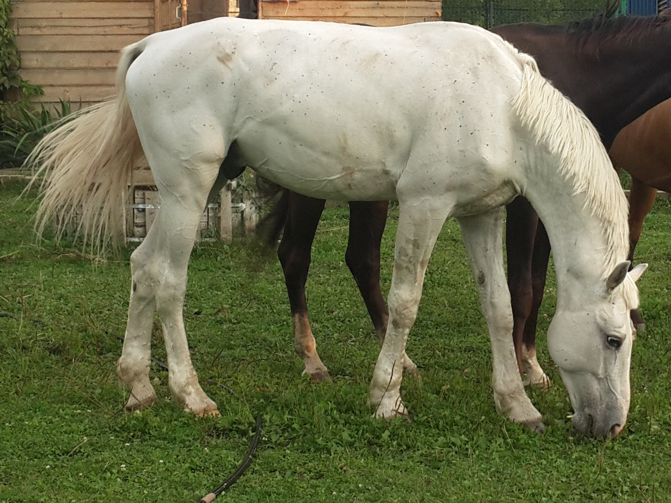 20130812_200225.jpg
