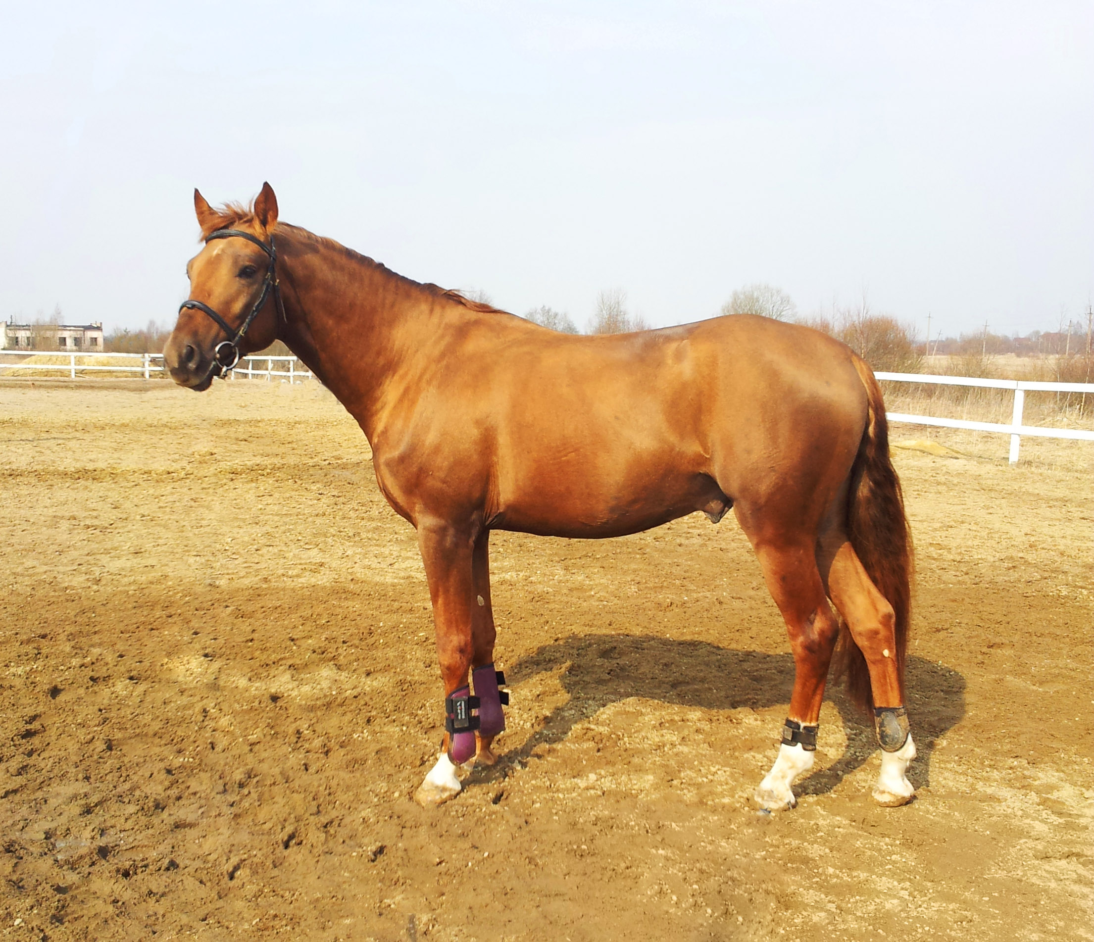 20150328_124854.jpg