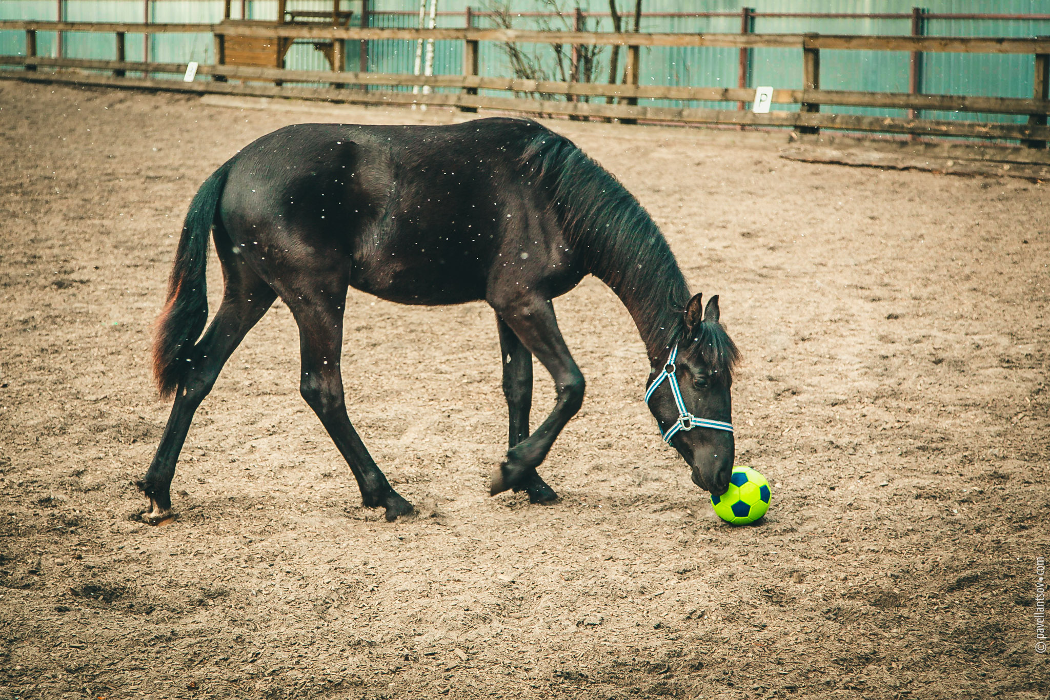 20150419-154144-0696.jpg
