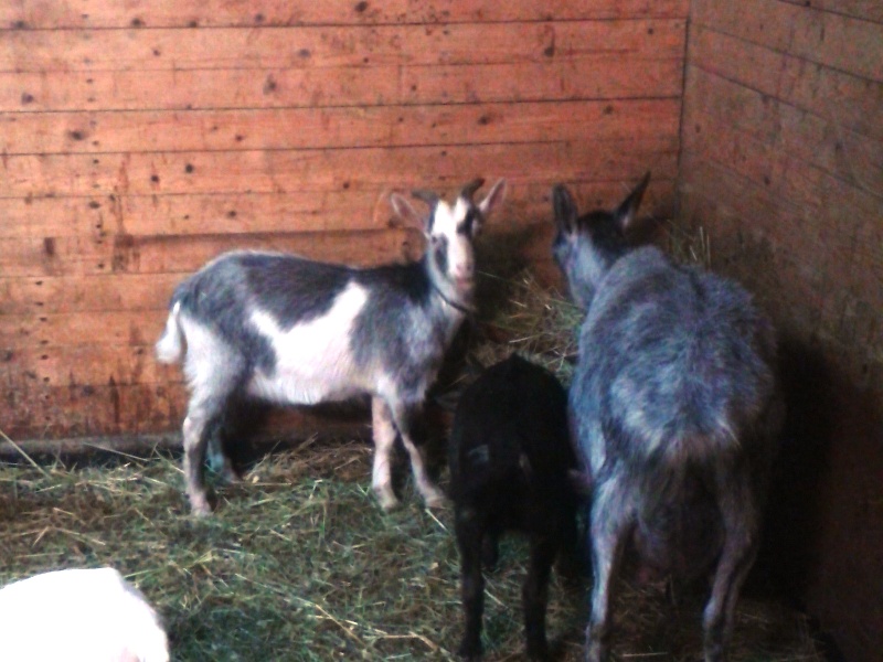 20150419_015752.jpg