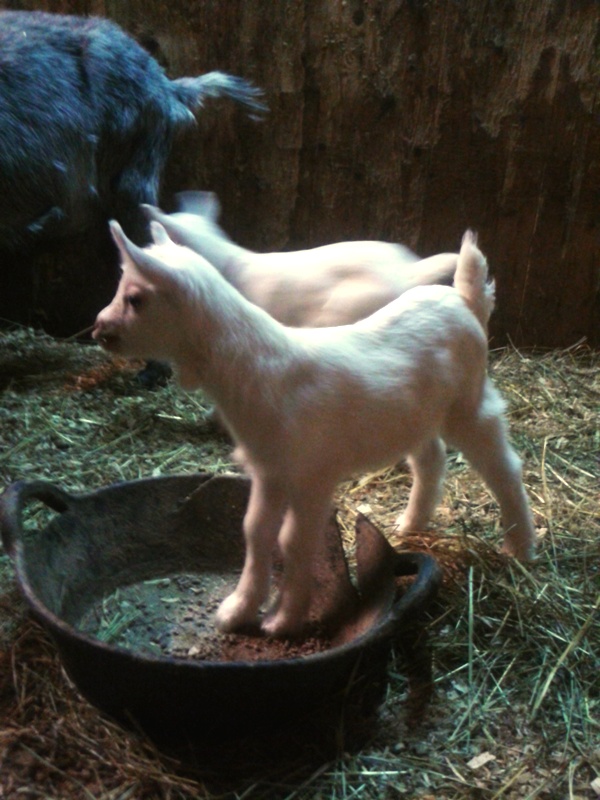 20150419_015925.jpg