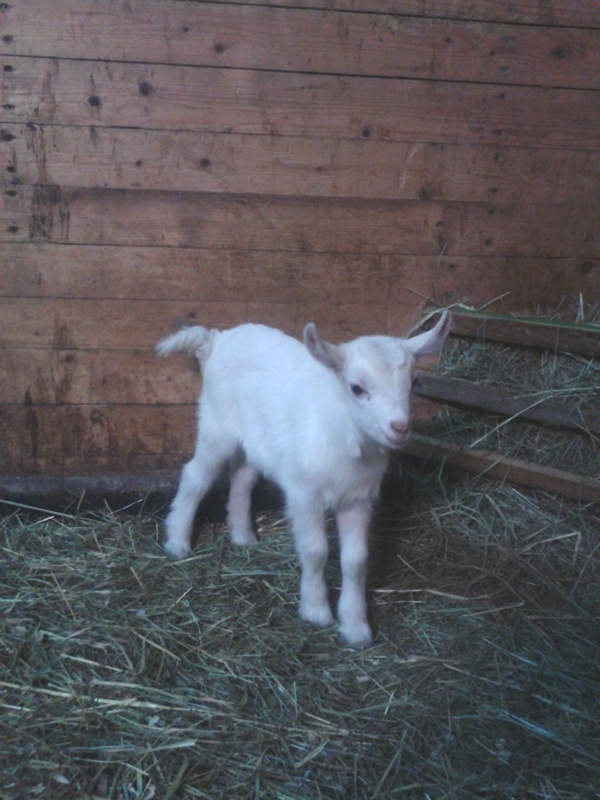 20150419_020435.jpg