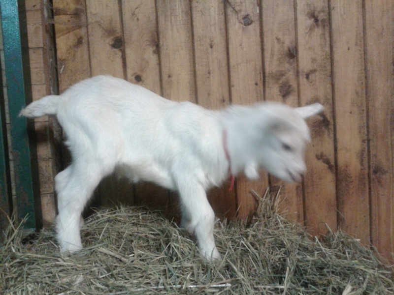 20150419_021312.jpg