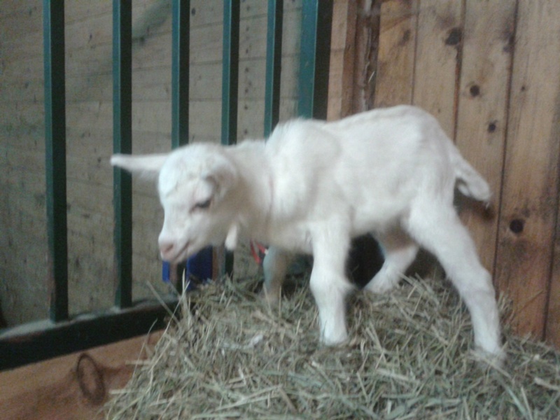 20150419_021437.jpg