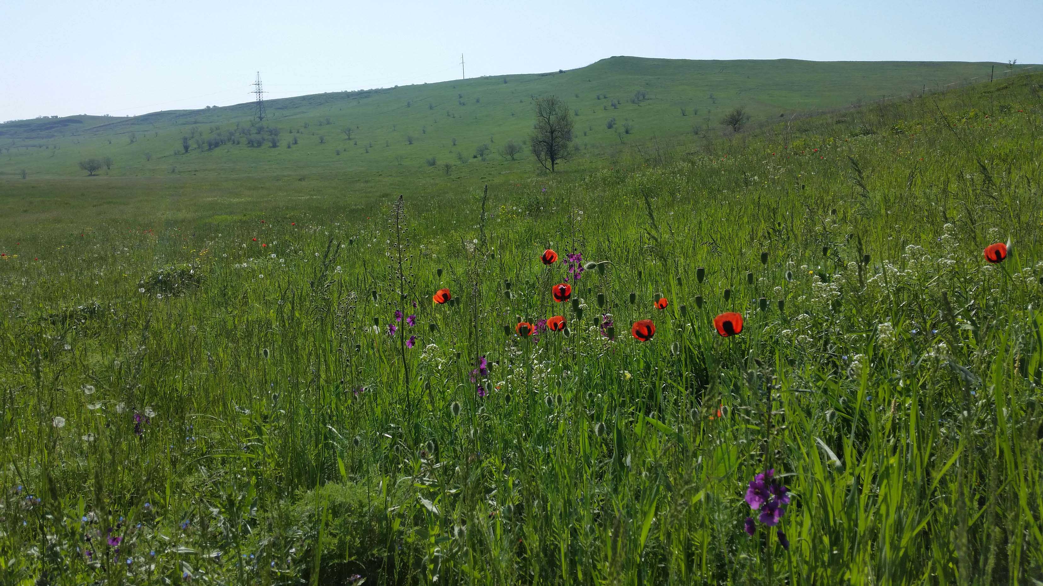 20150515_081447.jpg