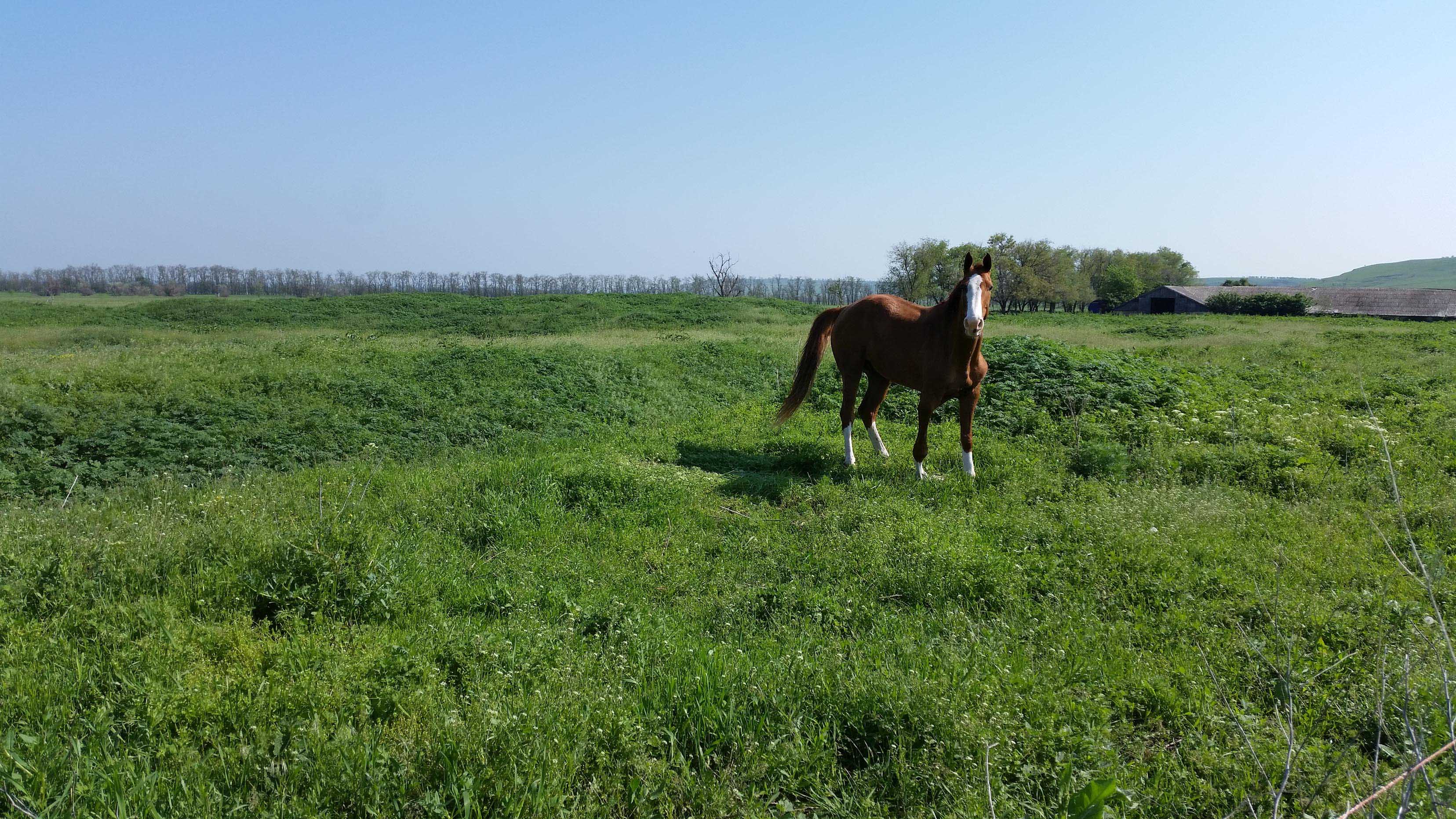 20150515_084428.jpg