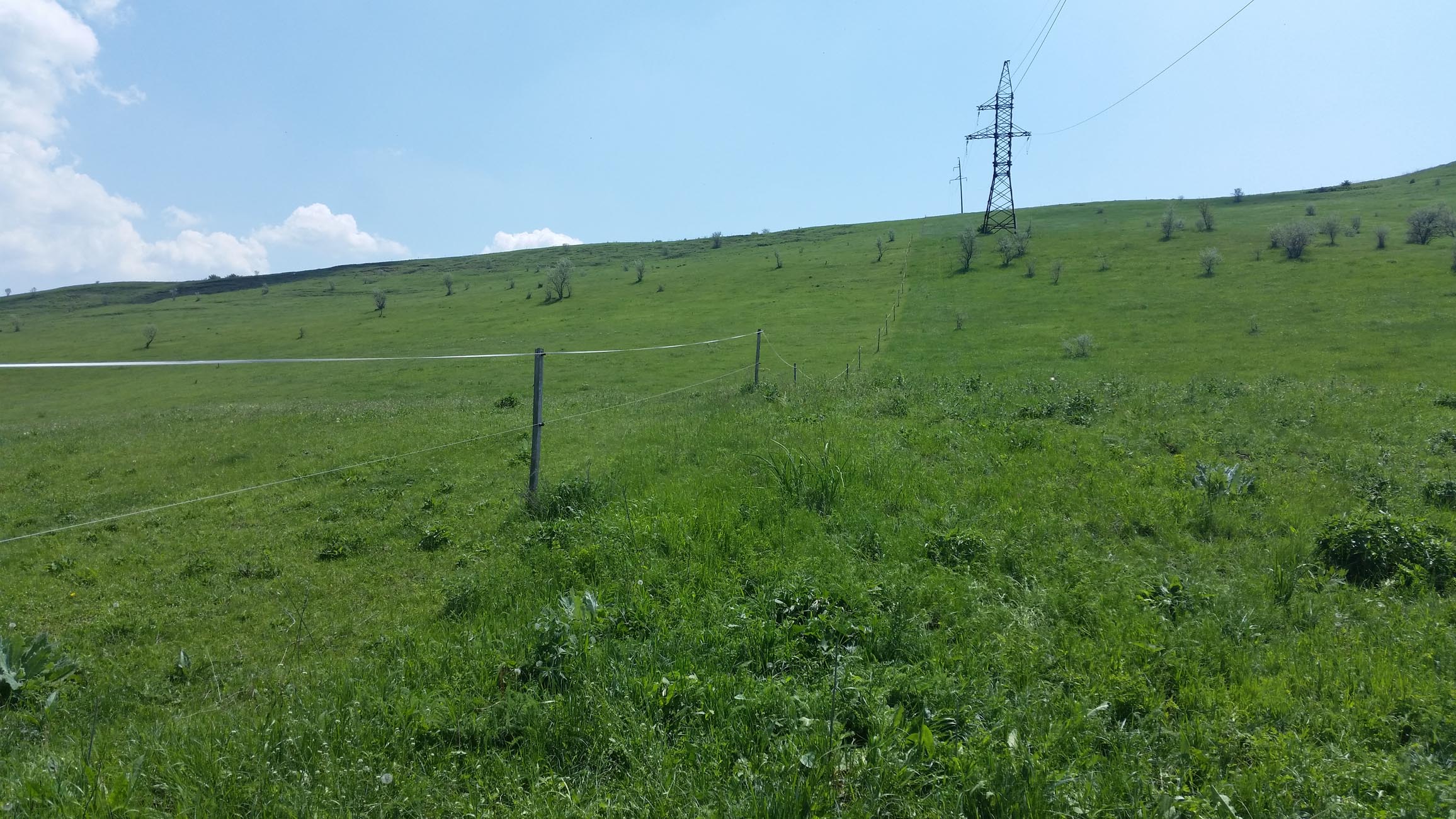 20150515_112405.jpg