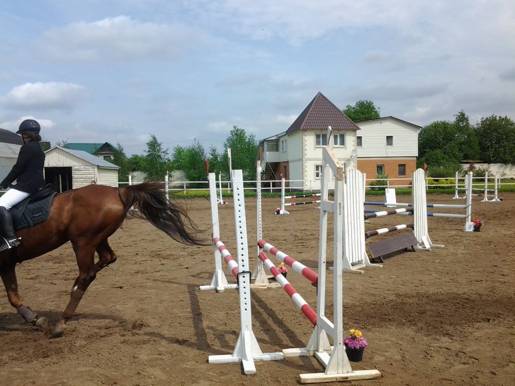 20150524_113540.jpg