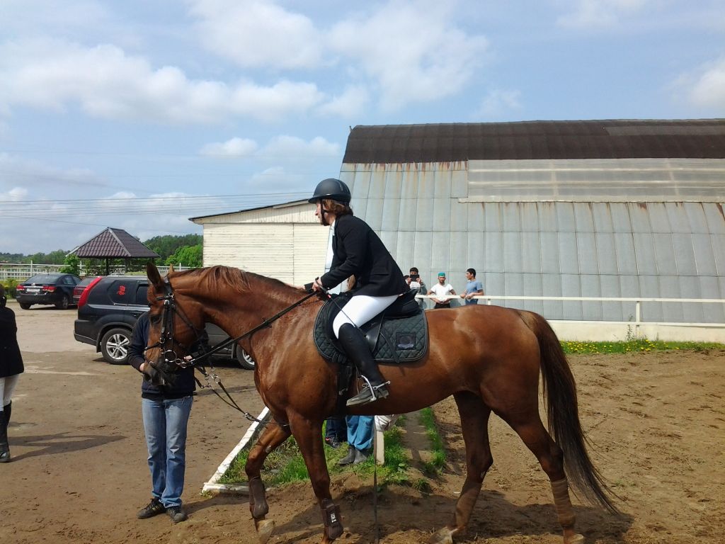 20150524_113623.jpg
