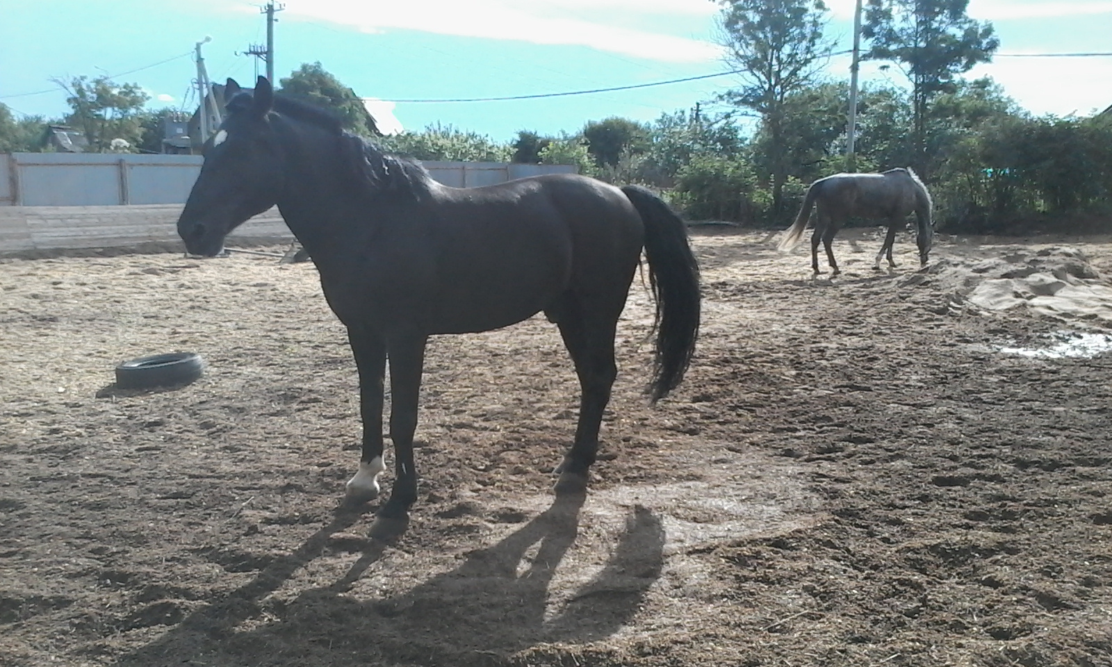 20150710_173407.jpg