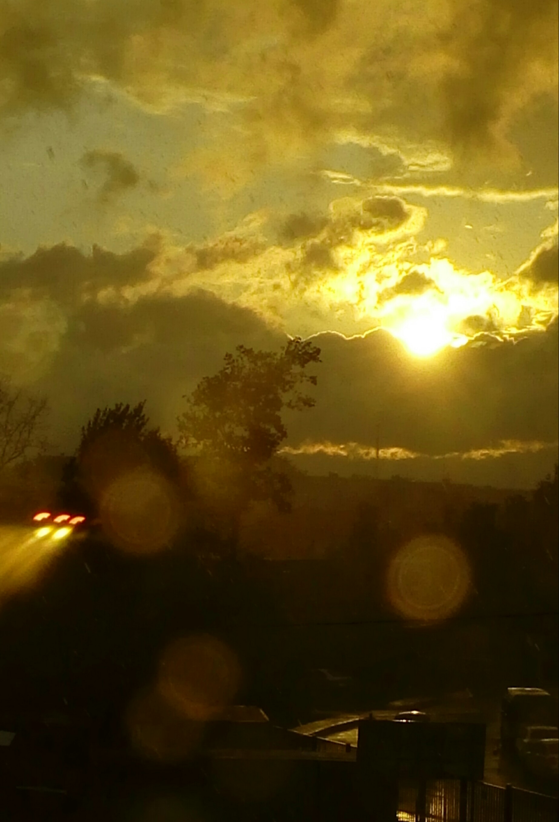 20150720_202301-1.jpg