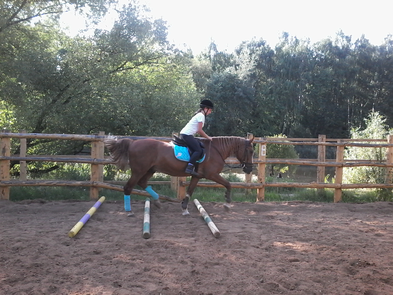 20150725_165757.jpg