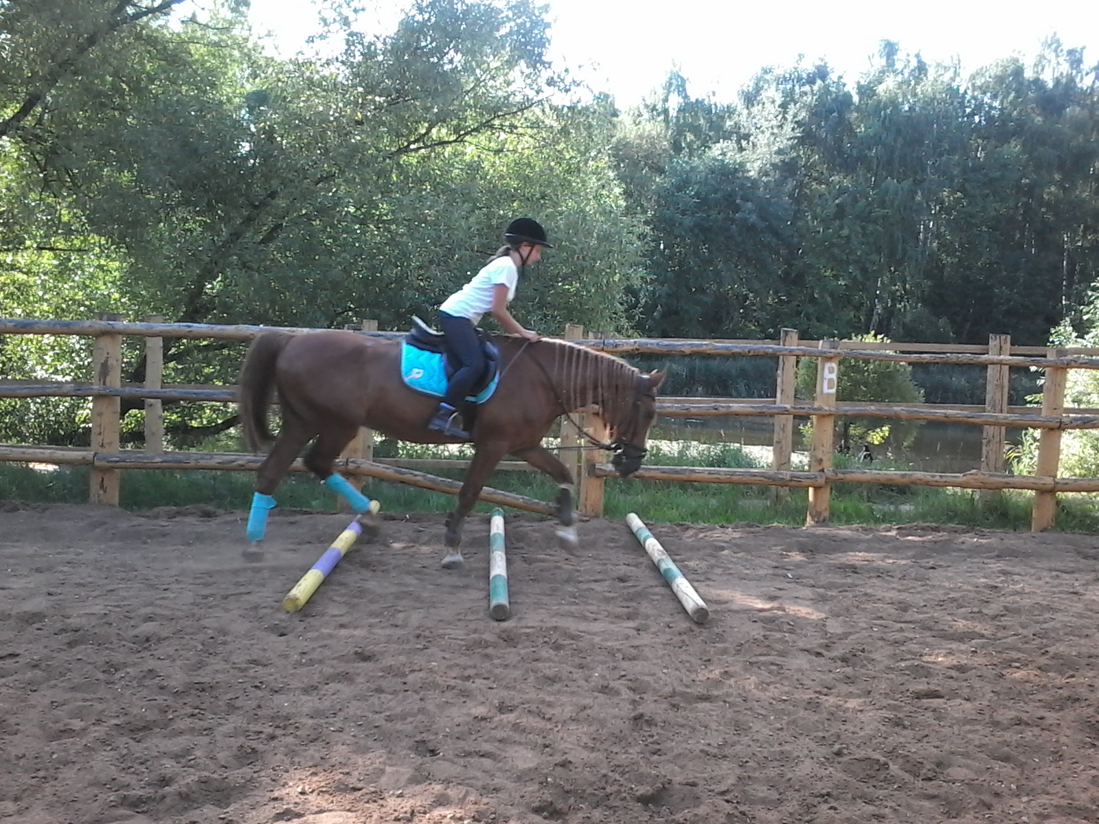 20150725_165830.jpg