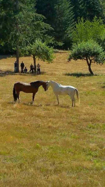 20150809_103607.jpg