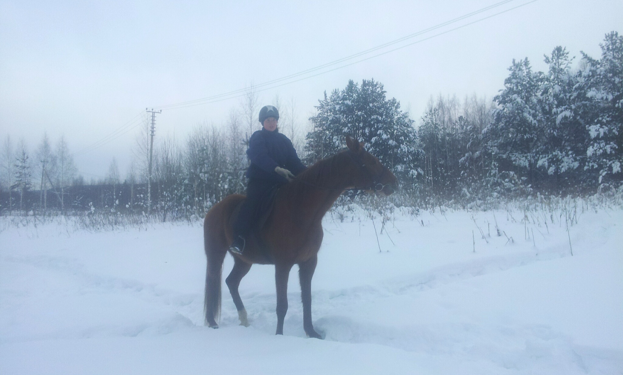 20160115_144958_1-hires.jpg