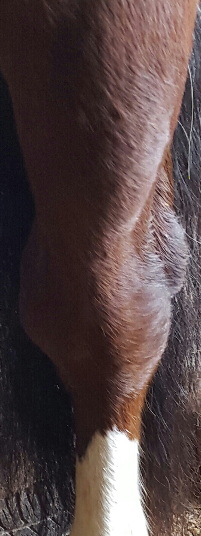 20160302_162558-1-1.jpg