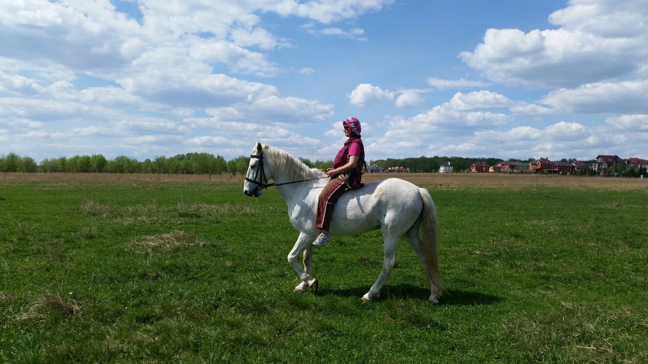 20160508_123554.jpg