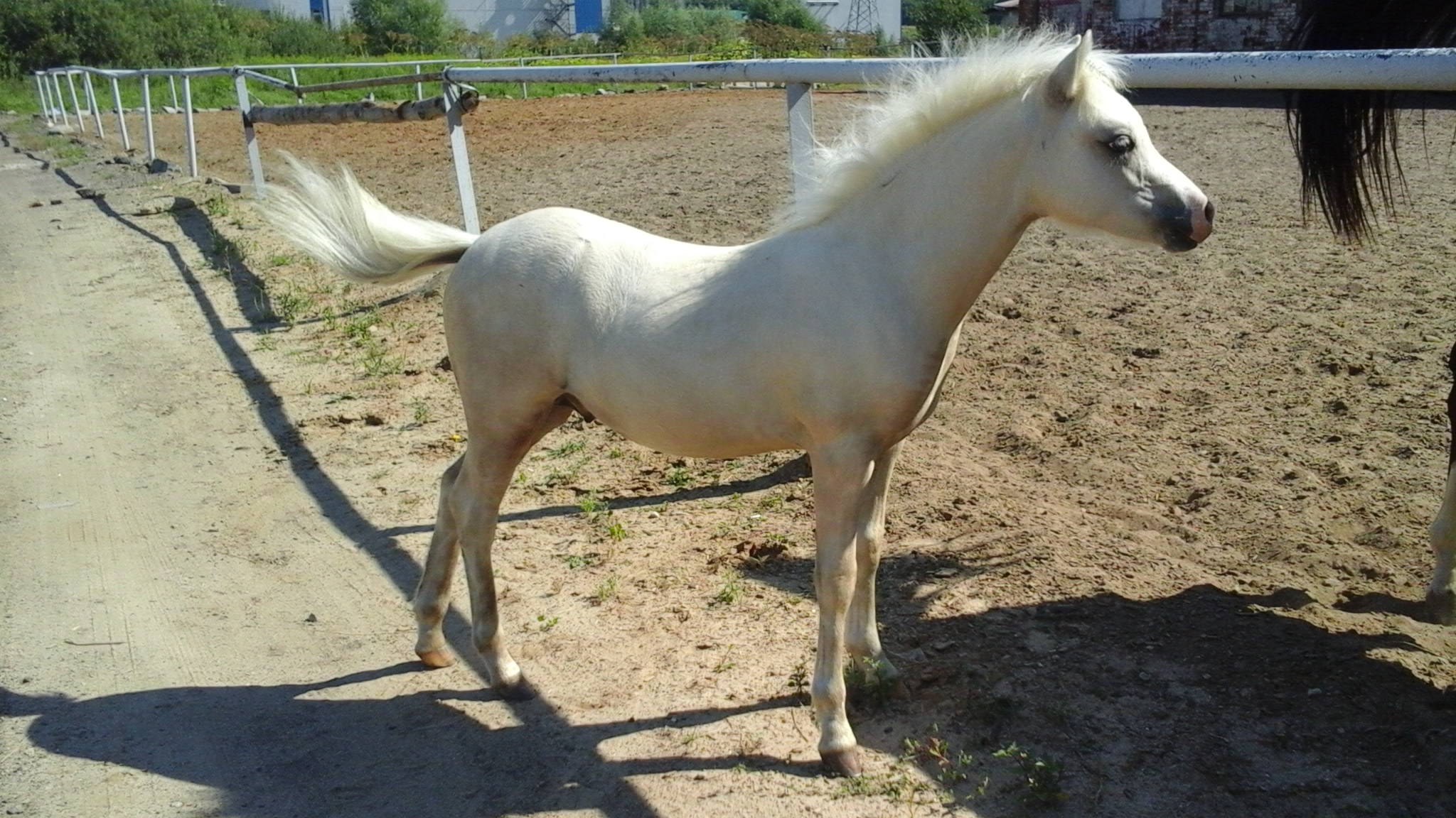 20160801_102831.jpg
