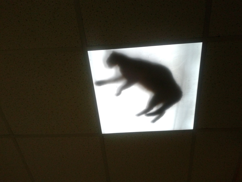 20160825_165751.jpg