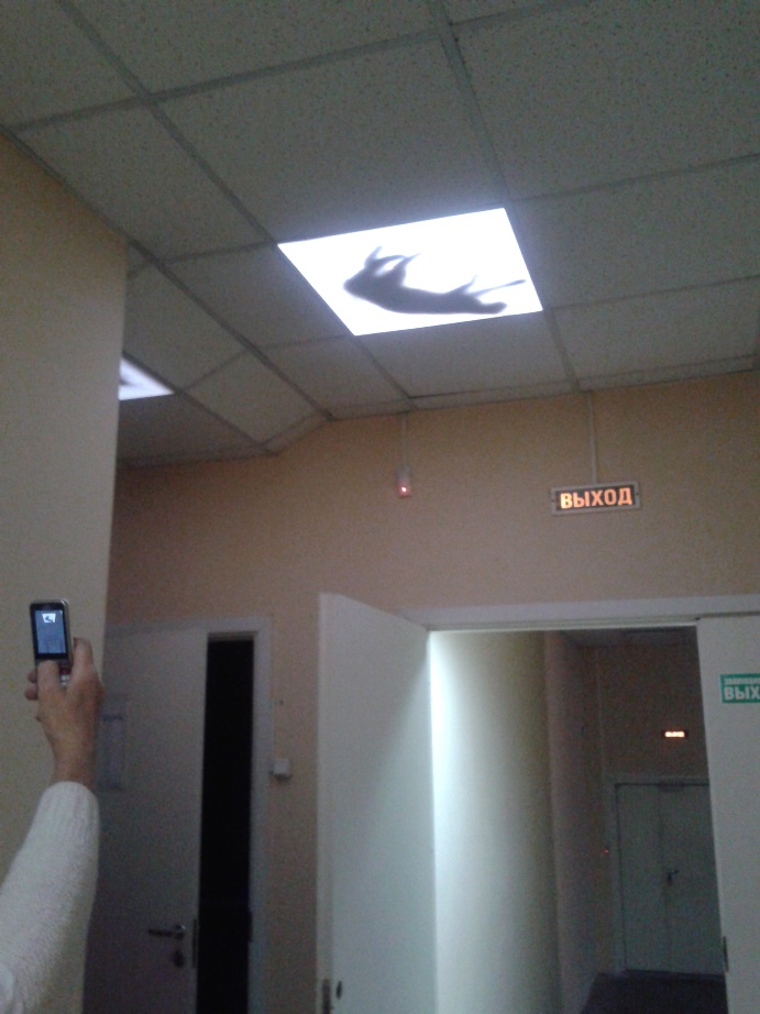 20160825_165838.jpg