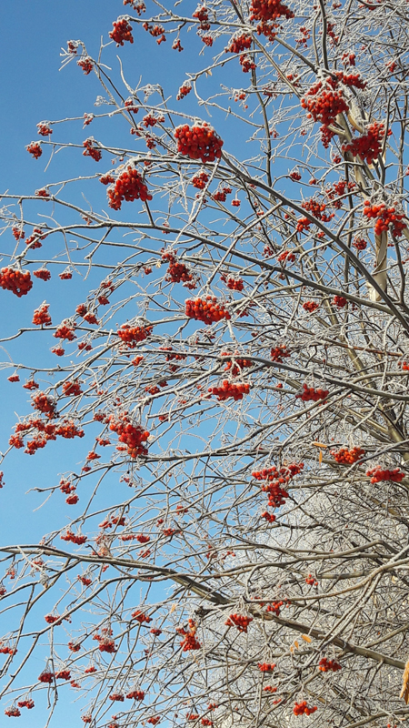 20161202_124349.jpg