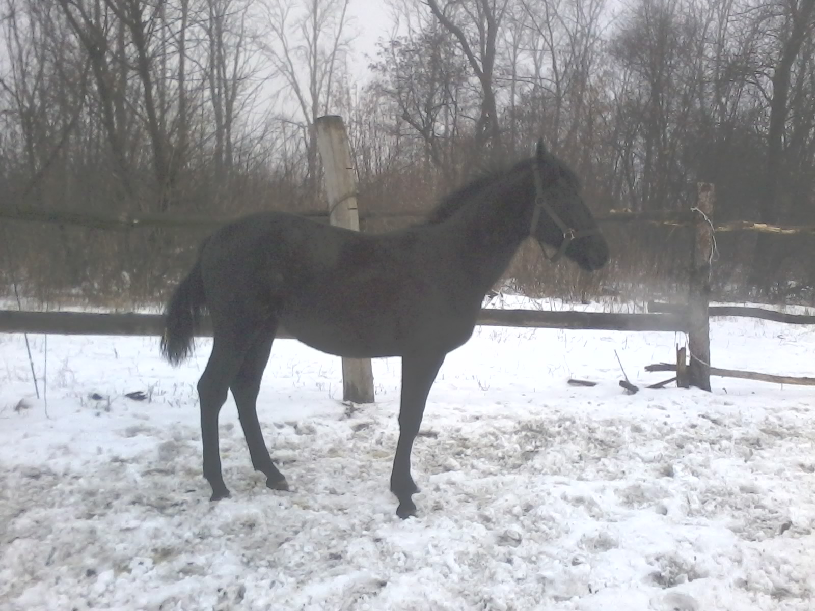 20161209_143758.jpg