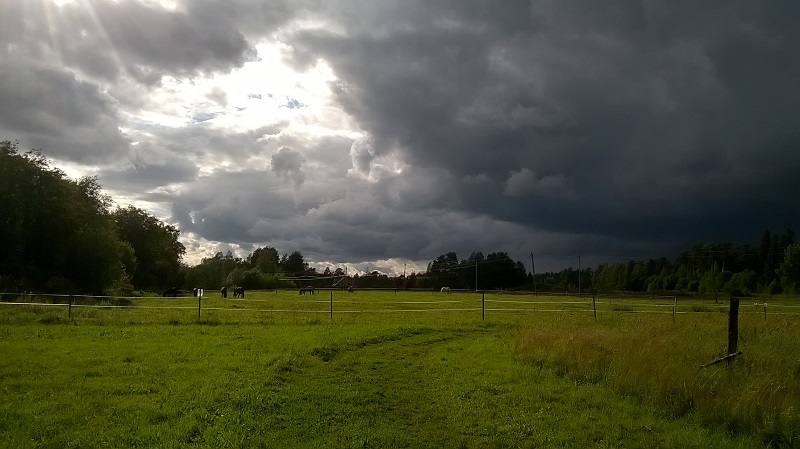 2017-08-03 17-26-11.jpg