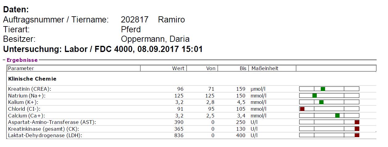 2017-09-11 Ramiro_Muskelprofil.jpg
