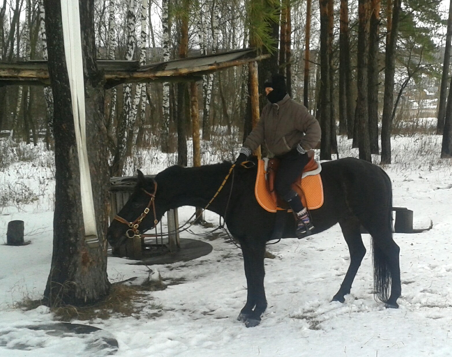 20170102_121315.jpg