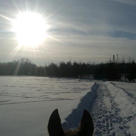 20170203_145749-1.jpg
