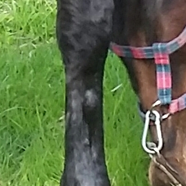 20170518_155818-1.jpg