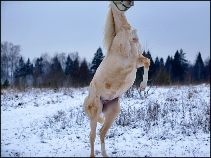 2017_svecha_ne_v_kadre.jpg